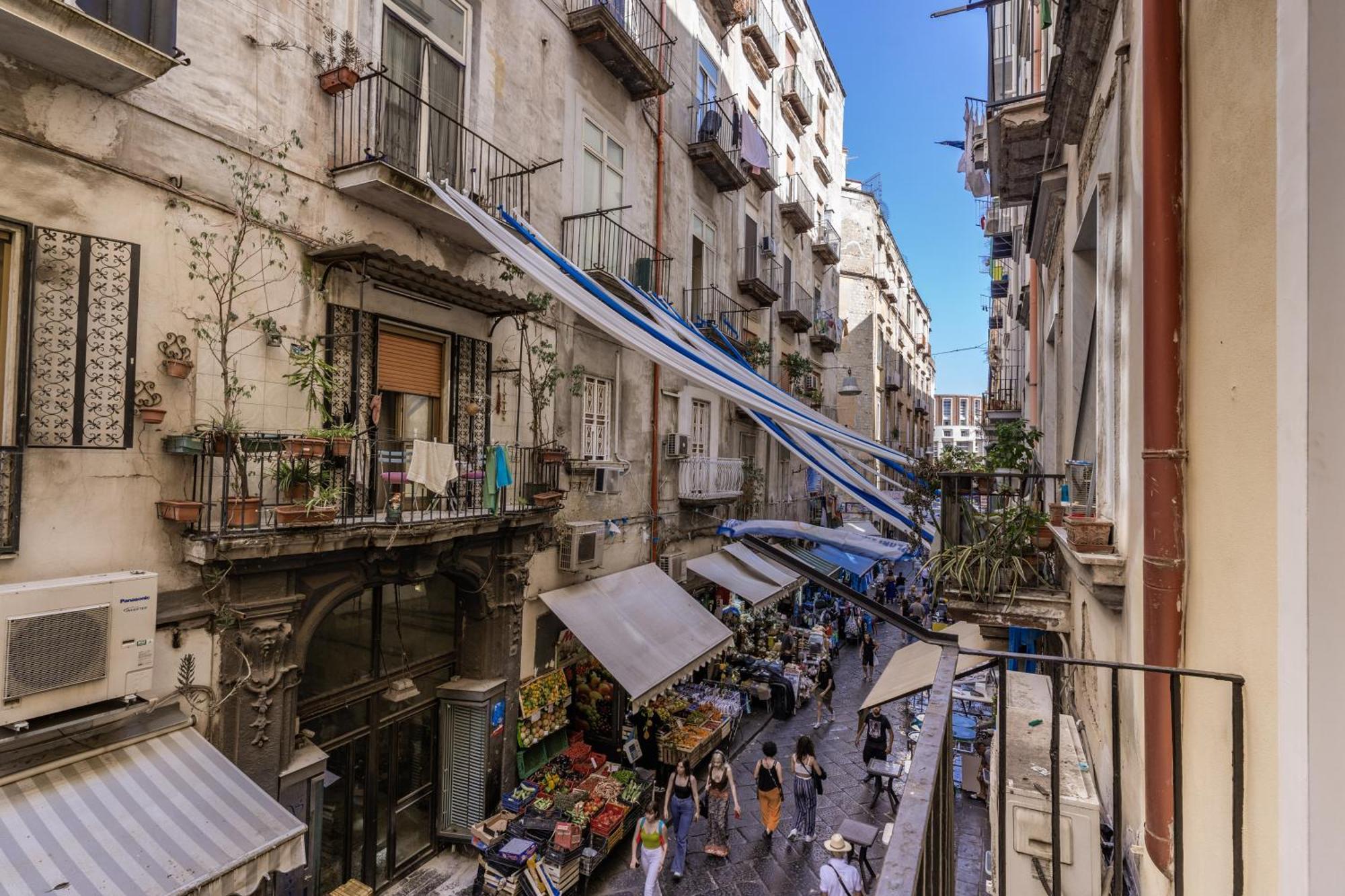 Affittacamere Domus Partenopea Napoli